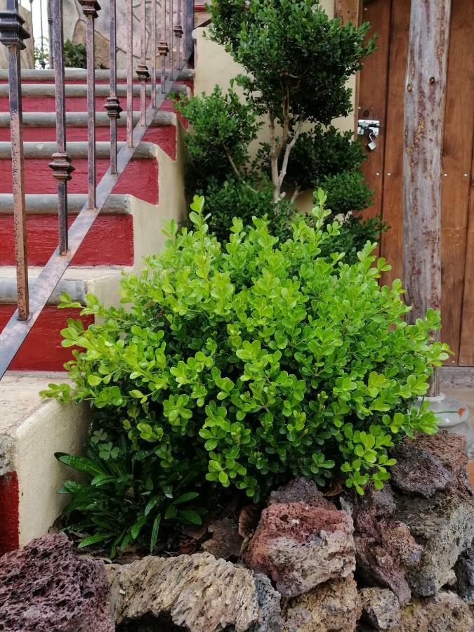 Hotel Posada El Camino Chignahuapan Ngoại thất bức ảnh